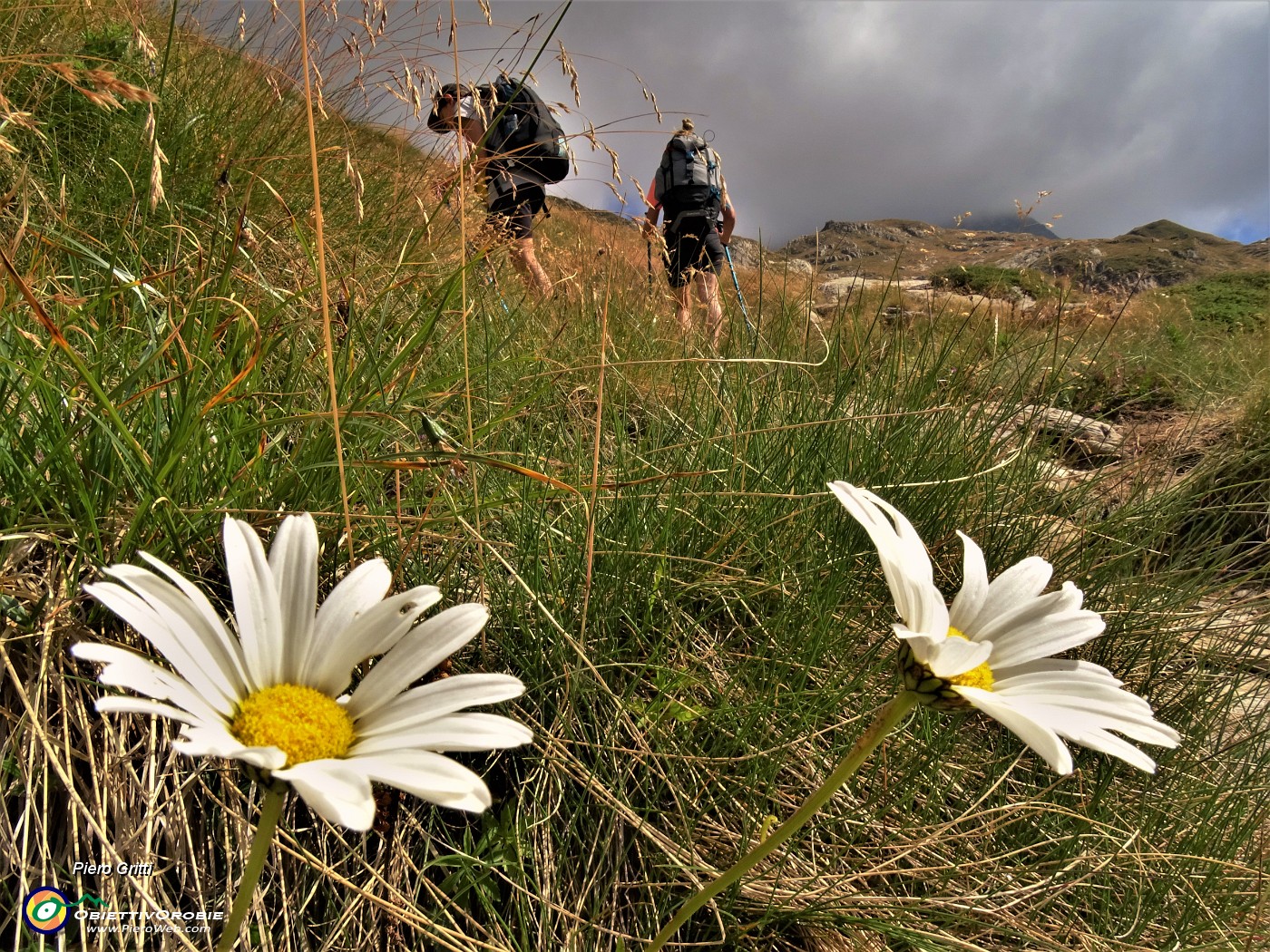 27 Siamo rimaste in pochissime a sopportare il gran caldo e la siccita.JPG